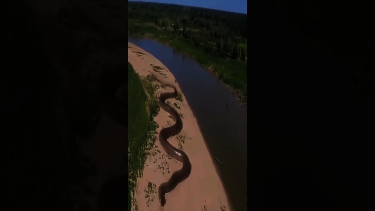 That is a big Snake 🐍🐍