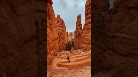 Amazing Nature Tiktok aliamoors