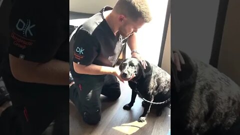 Calm Pup Adjustment!