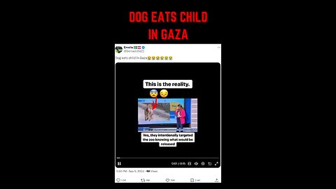 Why do Palestinians steal news from around the world and present it as if it happened in Gaza?