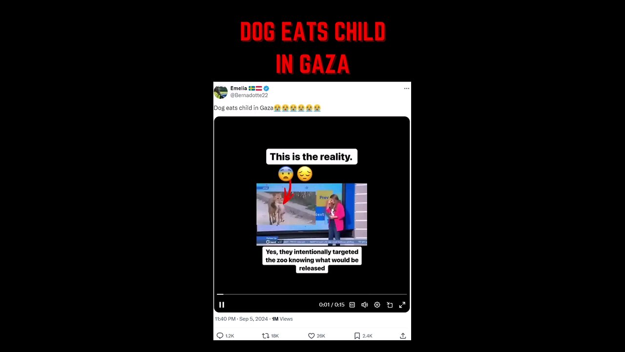 Why do Palestinians steal news from around the world and present it as if it happened in Gaza?