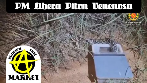 Polícia Militar do DF tira cobra perigosa de criador e solta ela na natureza
