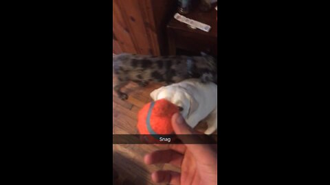Snapchat memory, still impressive af