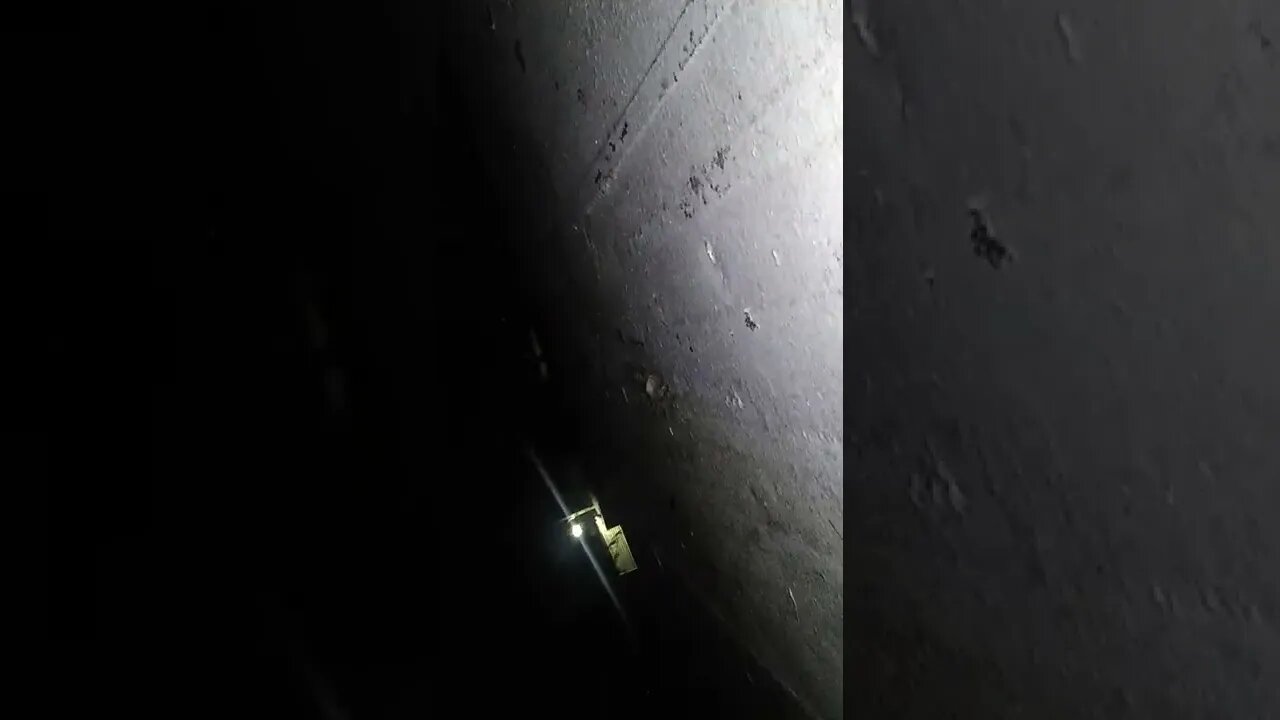 A creature was caught on camera walking on the roof of my house.(sorry about the video quality)