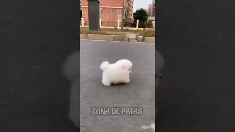 CORRE NEGADAAAA