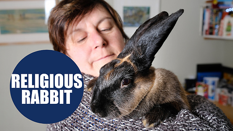 Rabbit is being hailed as the 'second coming' after a giant CROSS appeared on her forehead