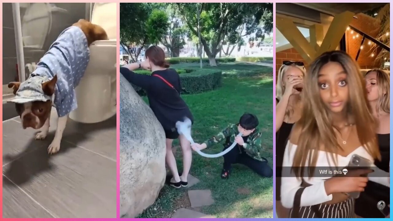 Best Funny Videos | Best Funny Fails | 2022 🤣