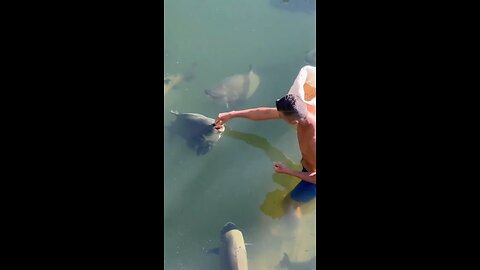 Fish and human love ❤️