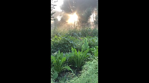 A Very Good Morning