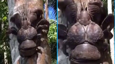 Giant strange animal