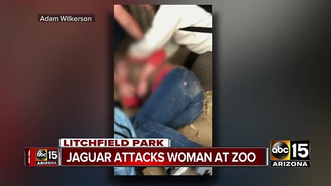 Jaguar attacks woman at Wildlife World Zoo