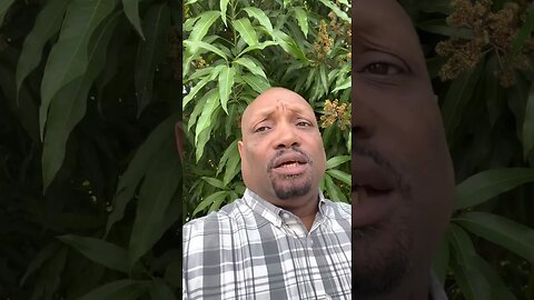 MarineXXX has finalized the DC SEC protest on Jan 27 28 I will be there AMC GME MOASS