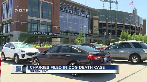 Charges filed for dog death case (2)