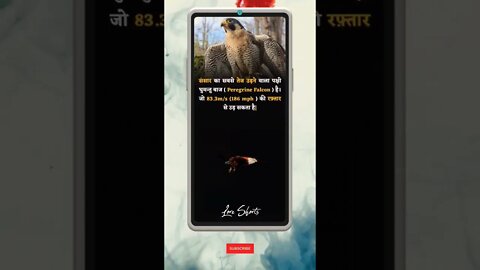 Intresting Fact about everything #eagle #shorts #ytshorts #knowledge