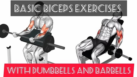 Basic biceps exercises with dumbbells and barbells