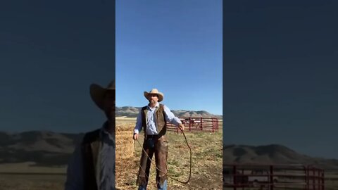 How to Crack a Whip