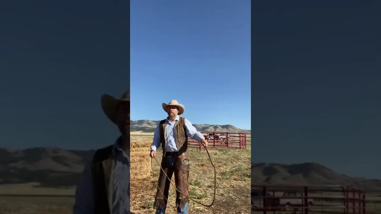 How to Crack a Whip