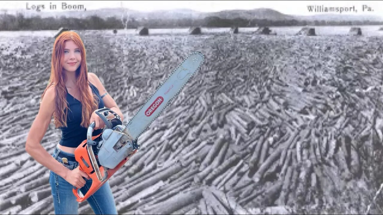 The Interesting Truth Behind the History of Logging!