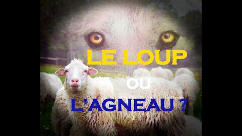 La justice sociale et l'égalité est-elle préjudiciable la culture traditionnelle, loup ou agneau?