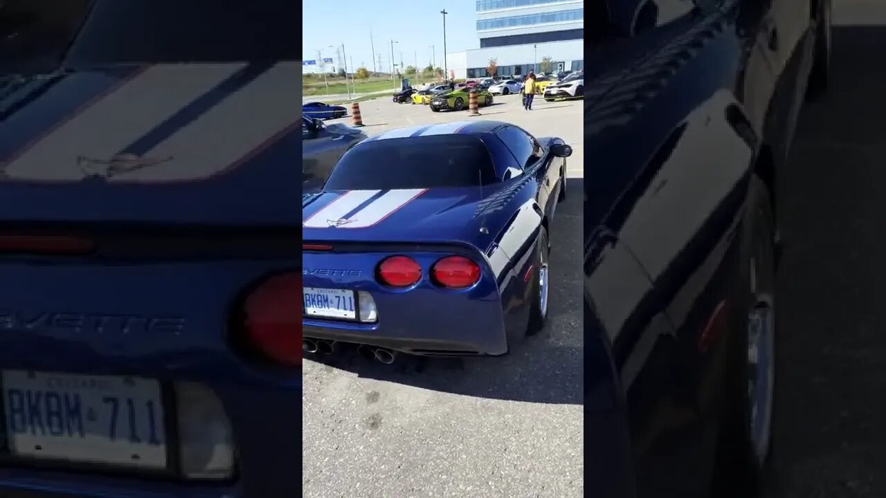 My Favorite years #sfmcollective #shorts #cars #corvette #c5 #z06 #chevrolet #2022 #v8 #special