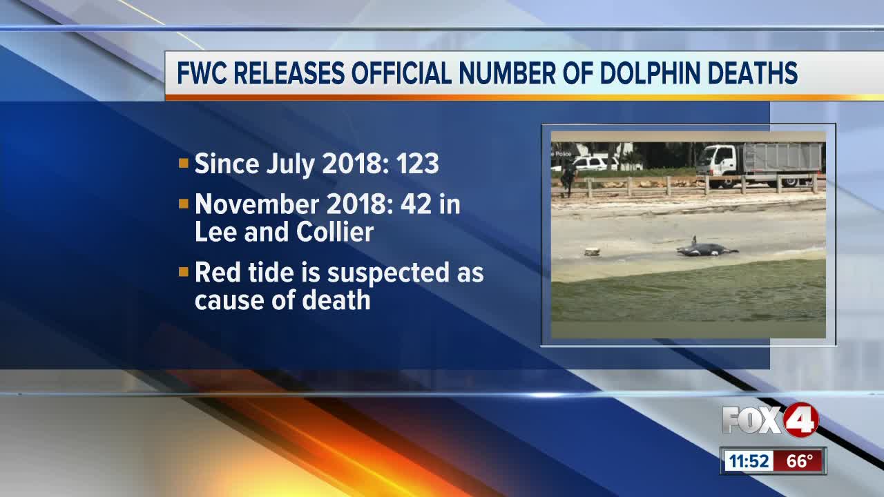FWC Releases Official Number of Dolphin Deaths