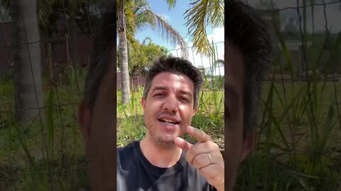 PORQUE O PORTE DE TRÂNSITO NÃO PODE SER REVOGADO? | VOCÊ CONCORDA? #shorts #feed #sempreconceito