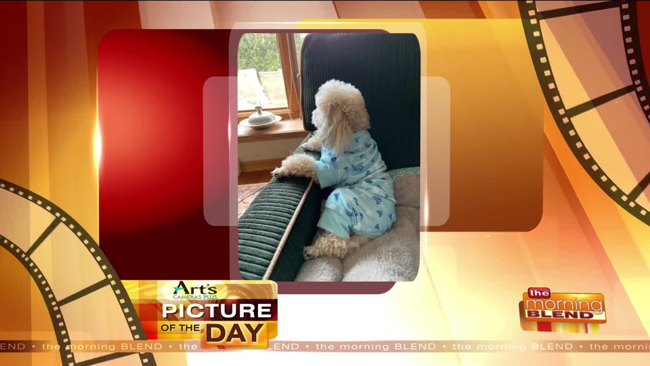 Our Art's Cameras Plus Picture of the Day for January 13!