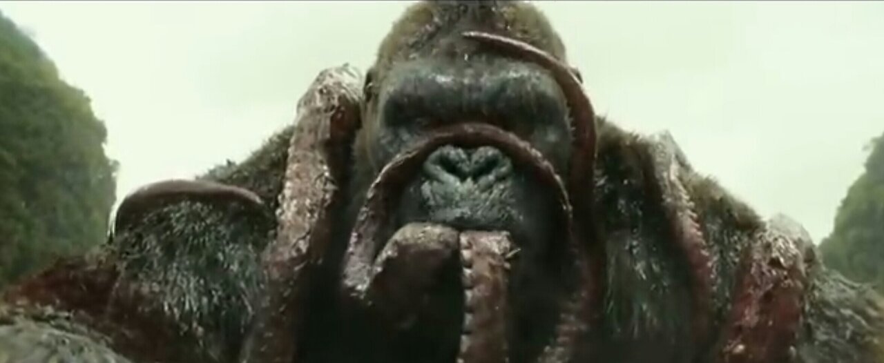This is amazing, watch the powerful giant chimpanzee in big River