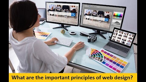 What are the Important Principles of Web Design?