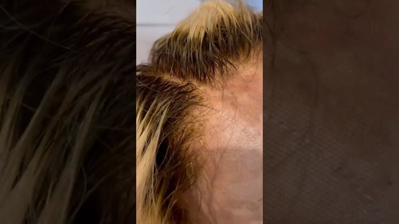 Lace or no Lace? #customwigs #wigreview