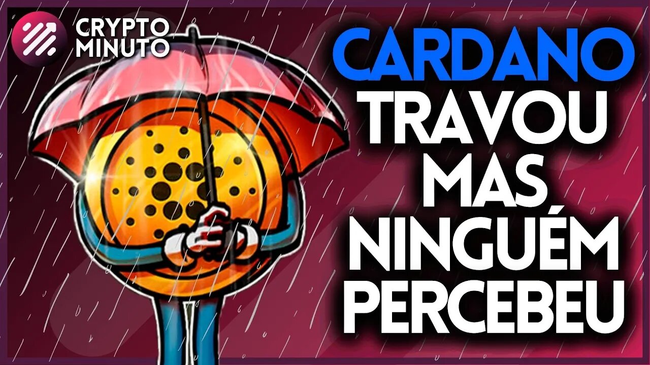 CARDANO TRAVOU - SHANGAI ETH - POLYGON DOMINA - NOVO ACORDO SOLANA - SHIBA - CRIPTO NOTÍCIAS HOJE