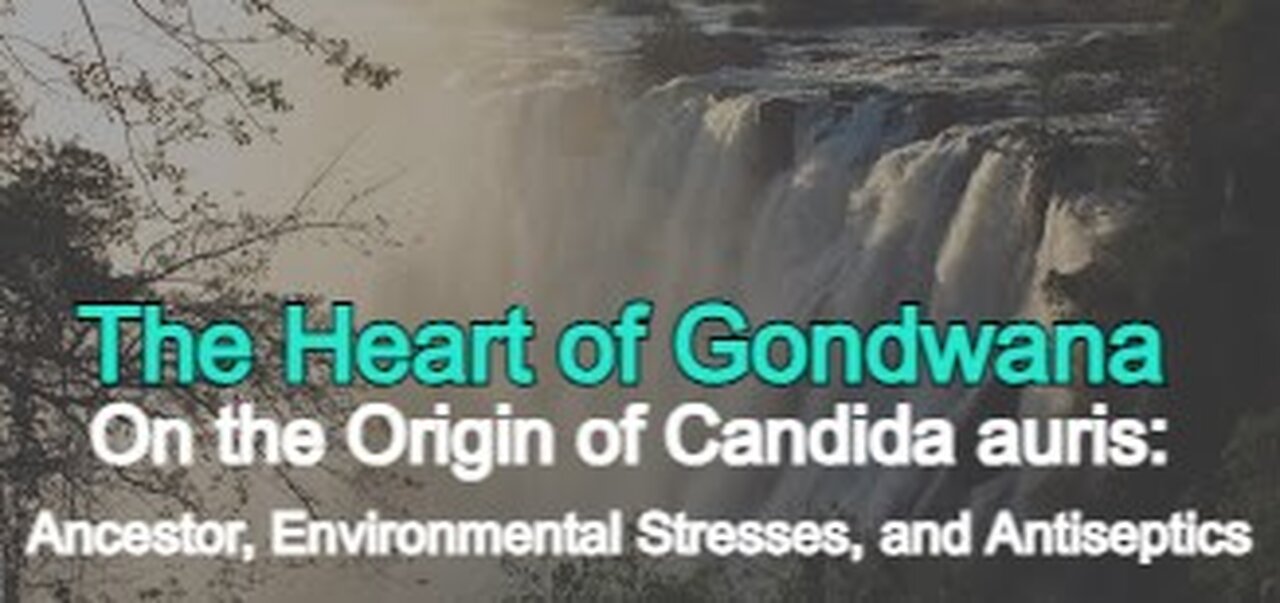 The Heart of Gondwana - On the Origin of Candida auris