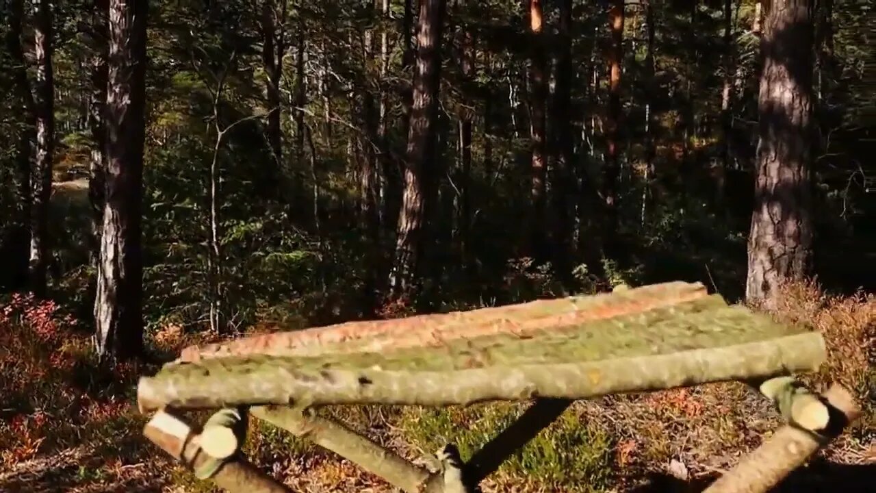 Wilderness Canoe Trip & 20