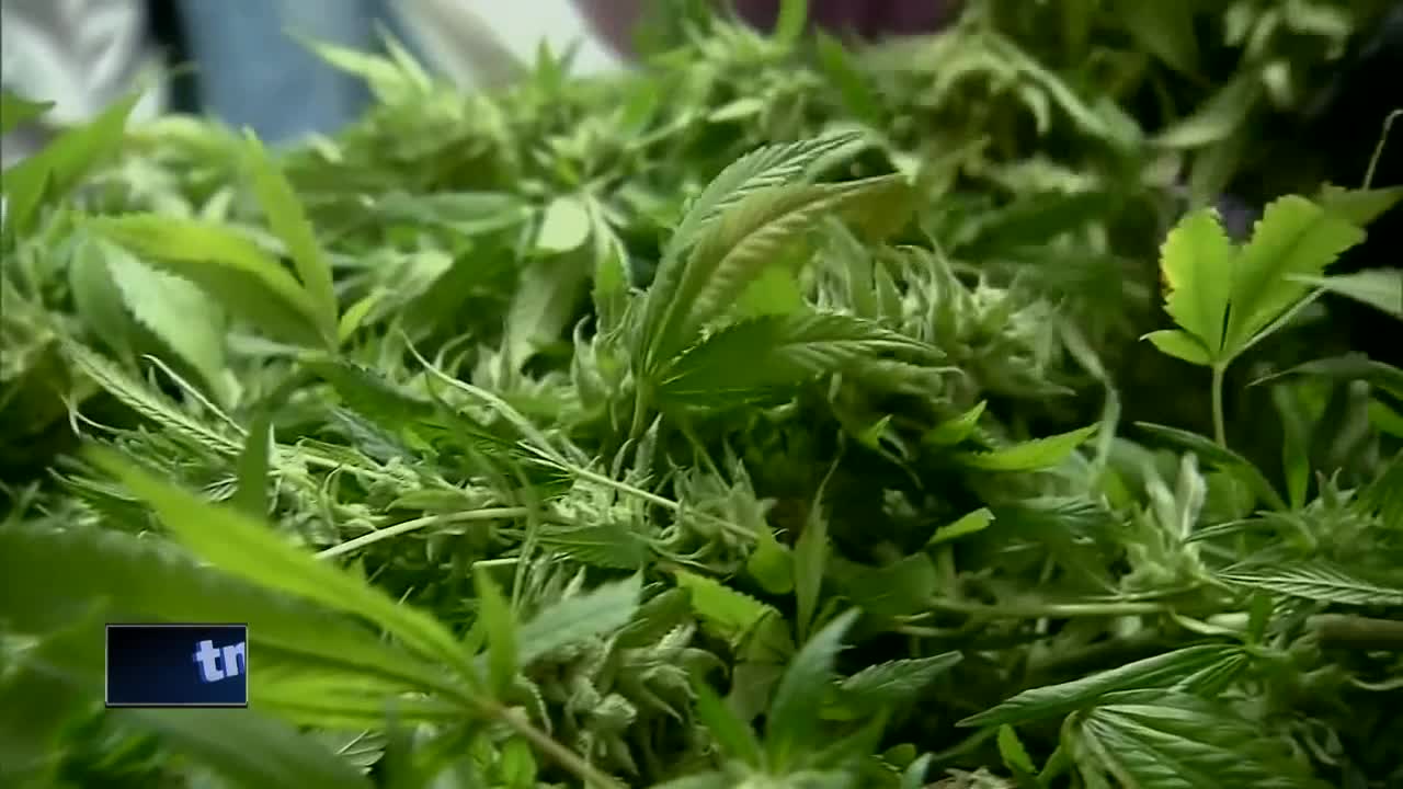 CBD oil, medical marijuana saved child from life of seizures