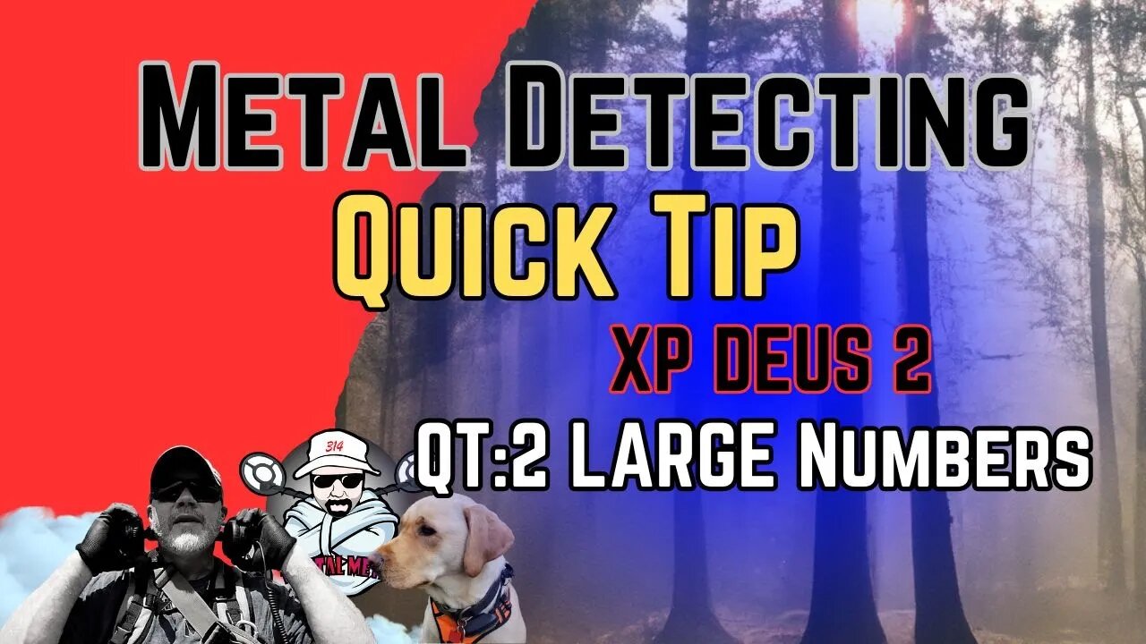 XP Deus II Quick Tip: Turning on Large Number Display (2 ways Explained).