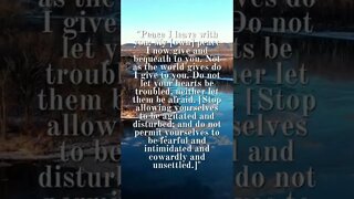 JOHN 14:27 | #Shorts