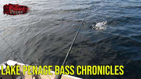 Lake Penage Bass Chronicles