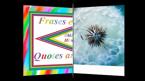 A vingança não é a melhor maneira de fazer as coisas! (Reflexão) [Frases e Poemas]