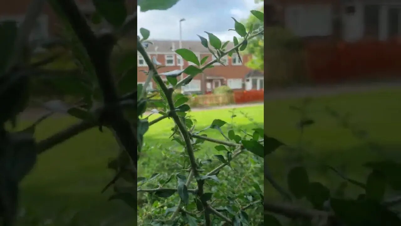 #veiws_viral_video_subscribers_grow bedroom 😍 view, enjoy 😉 and subscribe to my channel 👍