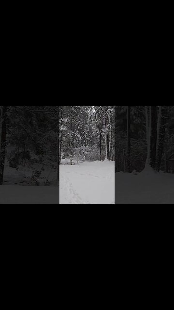 Waking Up To A Snow Storm | Living Off Grid In The Winter | #shorts