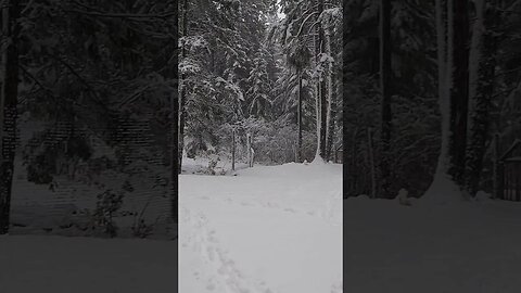 Waking Up To A Snow Storm | Living Off Grid In The Winter | #shorts