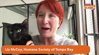 Pet Patrol Pet of the week | Morning Blend