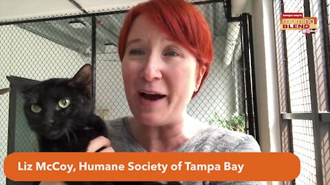 Pet Patrol Pet of the week | Morning Blend