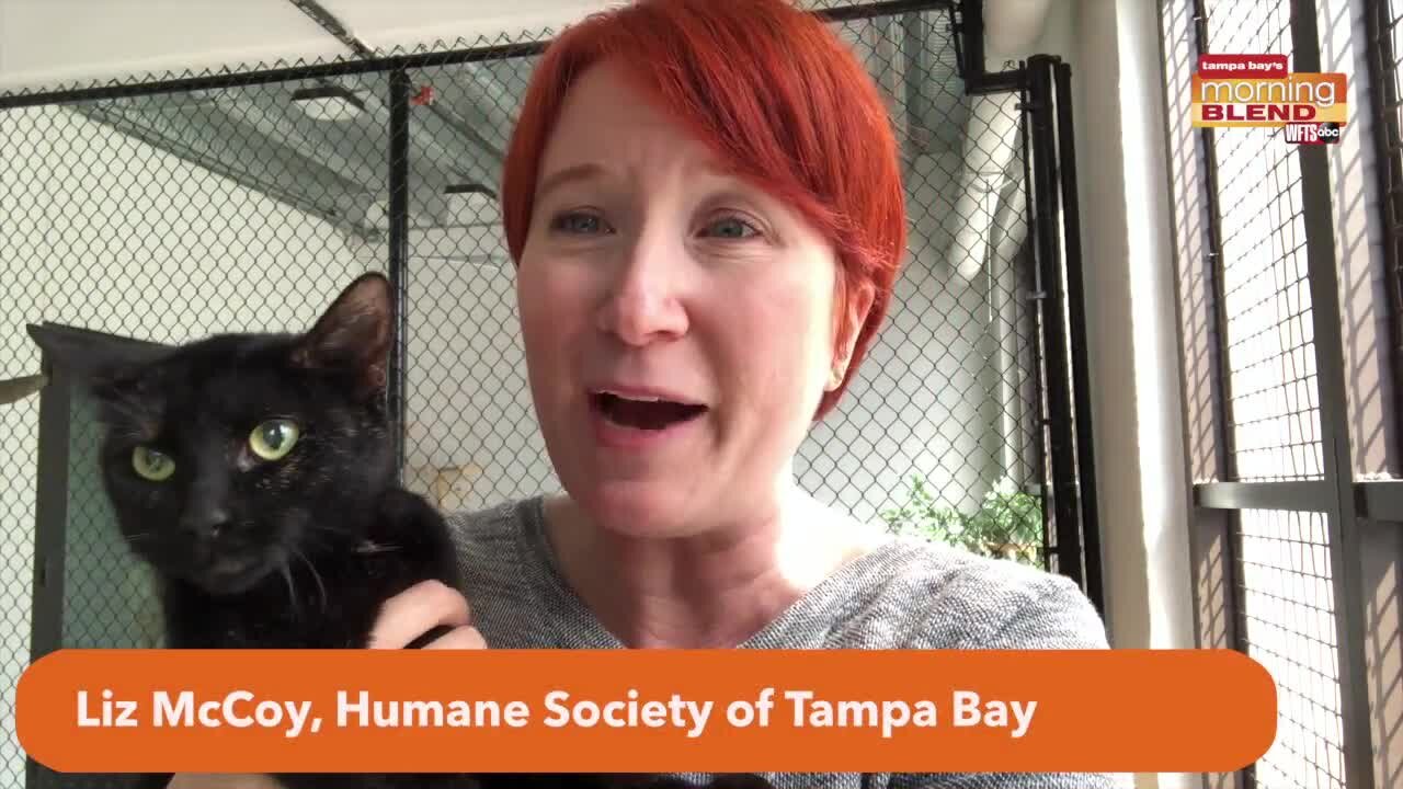 Pet Patrol Pet of the week | Morning Blend