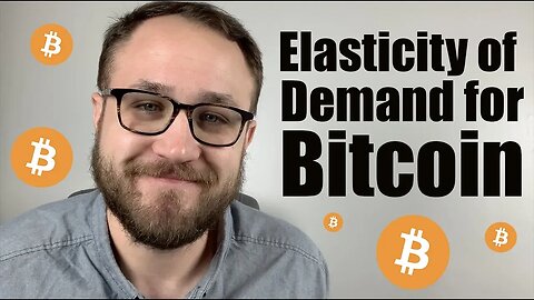 The Elasticity of Demand for Bitcoin
