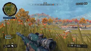 Long Snipe BO4