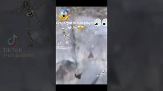 Bear falls from cliff #shorts