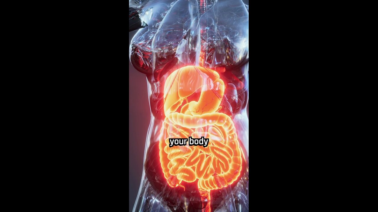 Fasting is good for your immune system