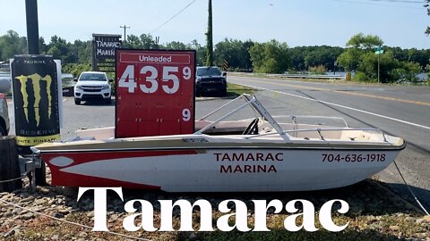 Tamarac Marina and Campground - High Rock Lake, NC - Vlogging America