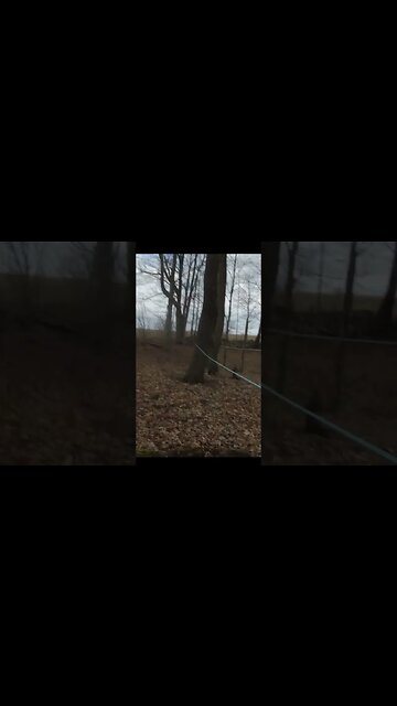 OMG!! What was that #treasure #relic #coins #fishing #buttons #silverage #metaldetecting #coin